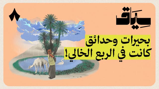 هل يفهم الببغاء لغة البشر